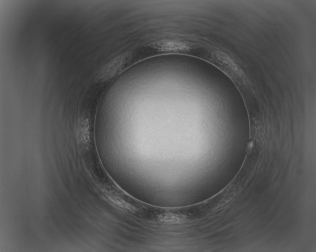 X0000084010549200702232207