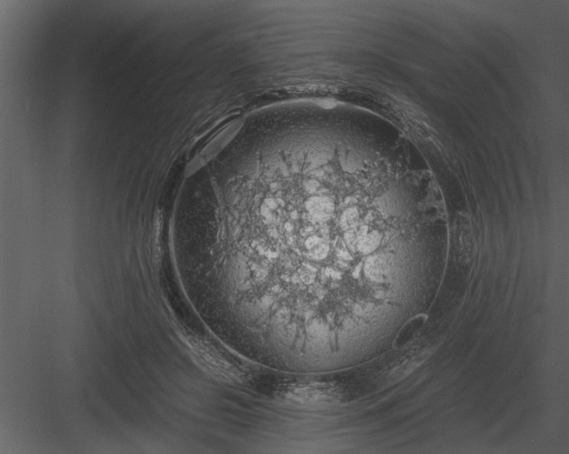 X0000084010550200702232207