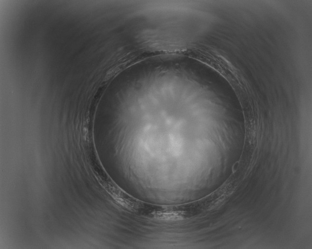 X0000084010553200702232207