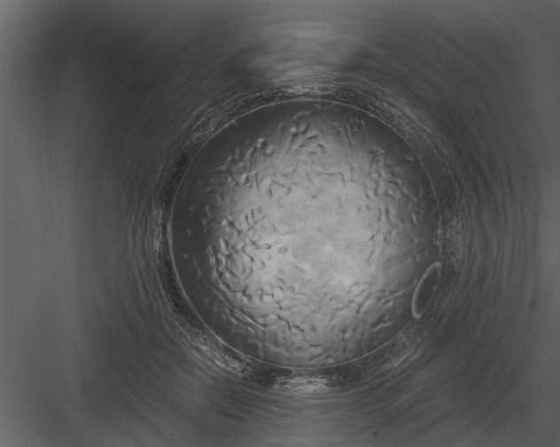 X0000084010554200702232207