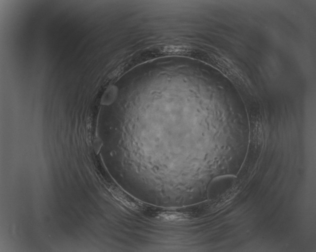 X0000084010557200702232207