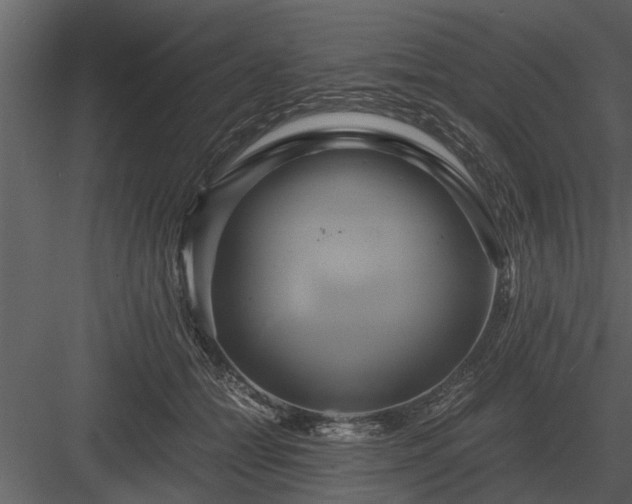 X0000084010558200702232207