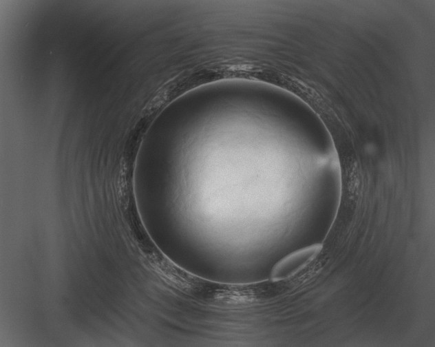 X0000084010559200702232207