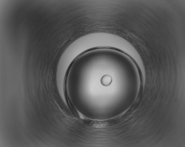 X0000084010560200702232207