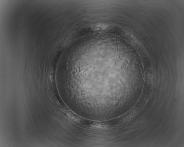 X0000084010561200702232207