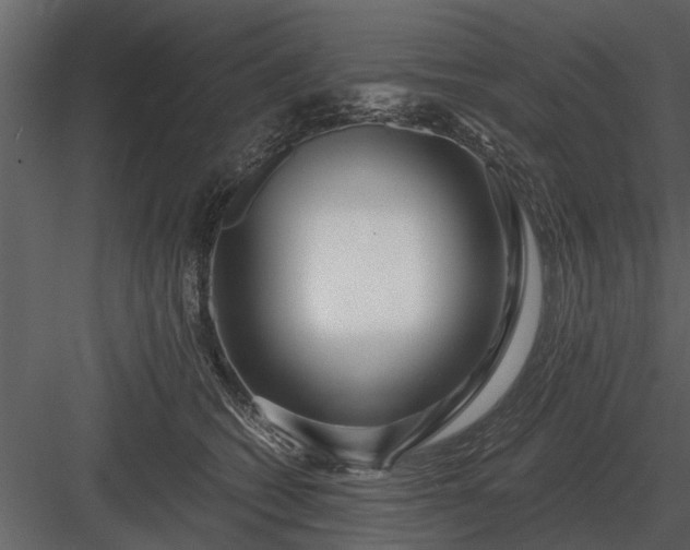 X0000084010562200702232207