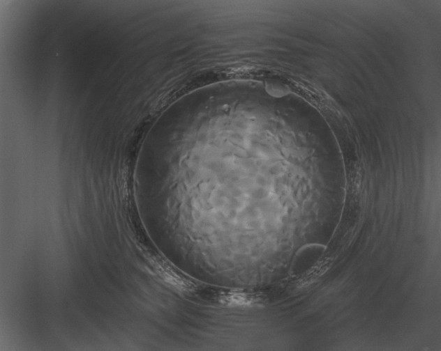 X0000084010565200702232207