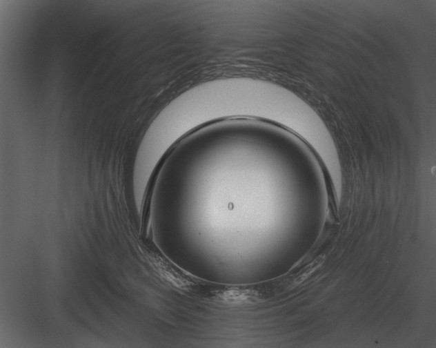 X0000084010566200702232207