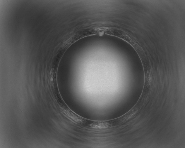 X0000084010567200702232207