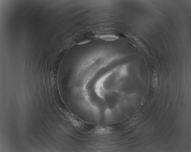 X0000084010569200702232207