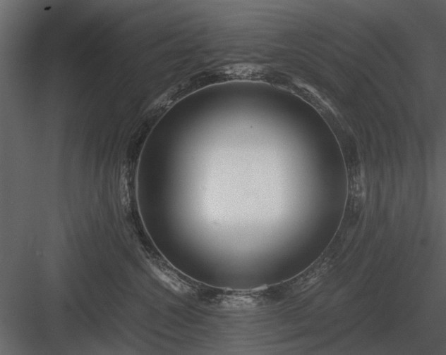 X0000084010572200702232208