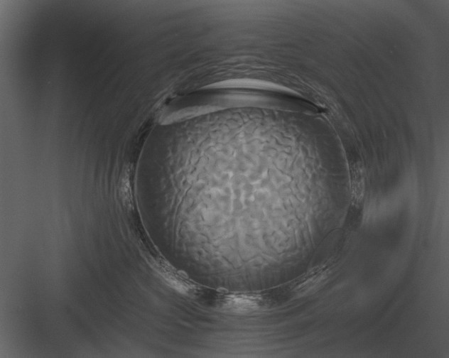 X0000084010573200702232208