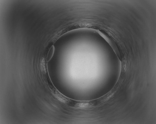 X0000084010575200702232208