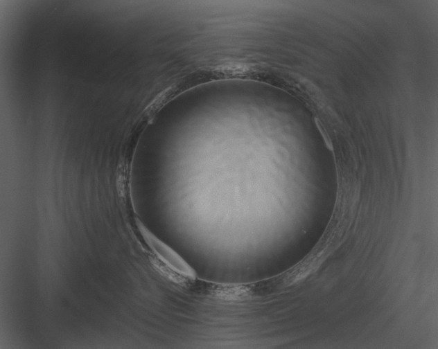 X0000084010576200702232208