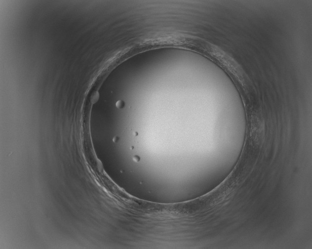 X0000084010578200702232207