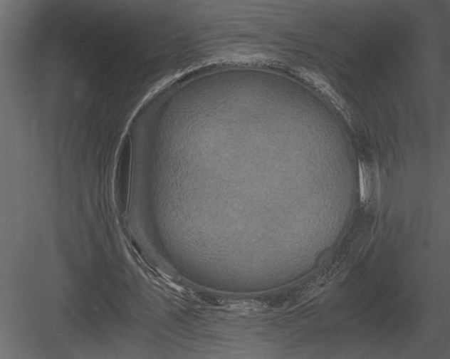 X0000084010579200702232207