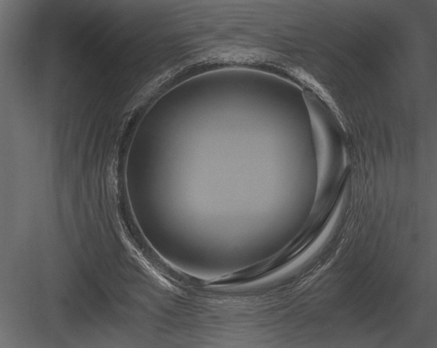 X0000084010581200702232207