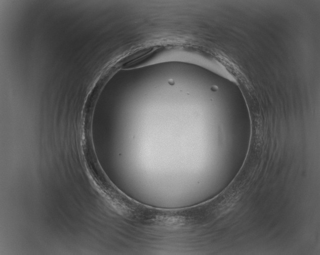 X0000084010582200702232207