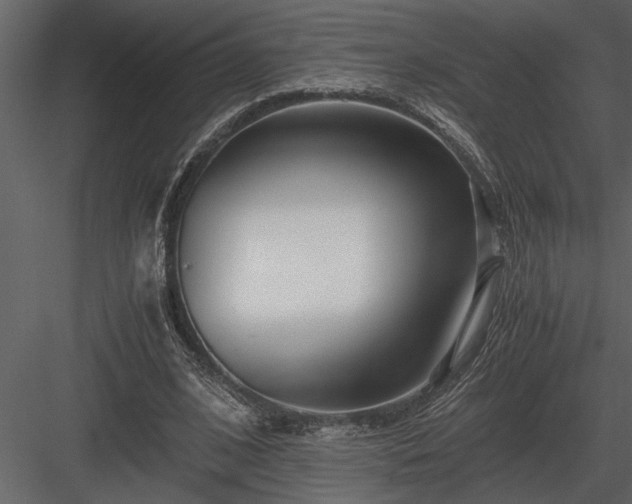 X0000084010584200702232207