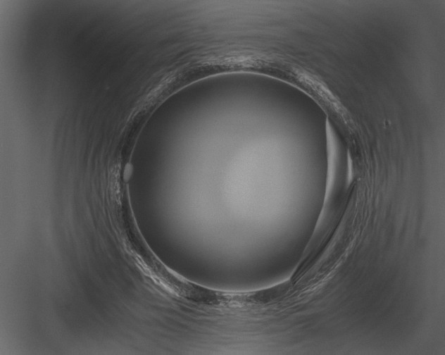 X0000084010585200702232207