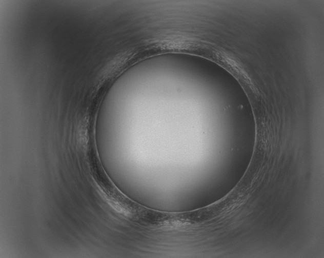 X0000084010586200702232207