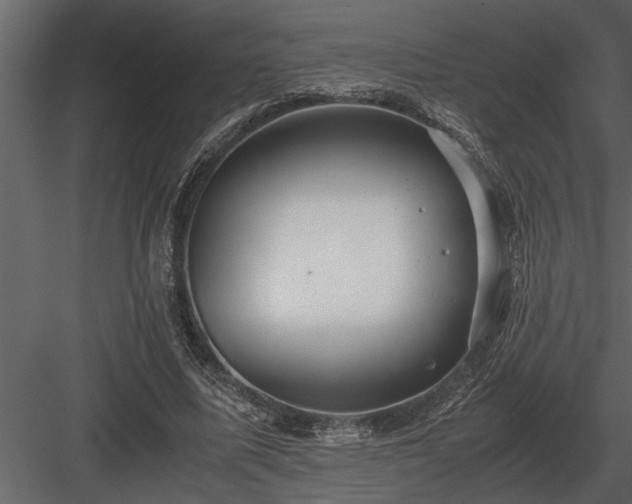 X0000084010587200702232207