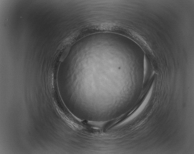 X0000084010589200702232207