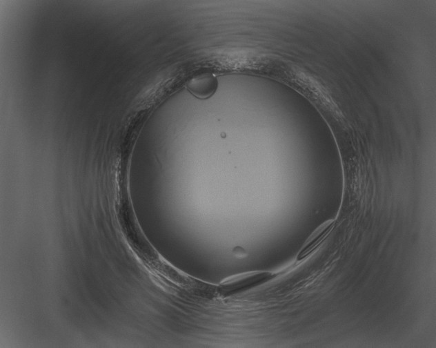 X0000084010590200702232207