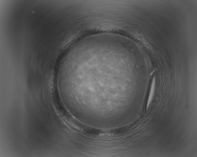 X0000084010591200702232207