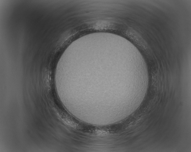 X0000084010592200702232207