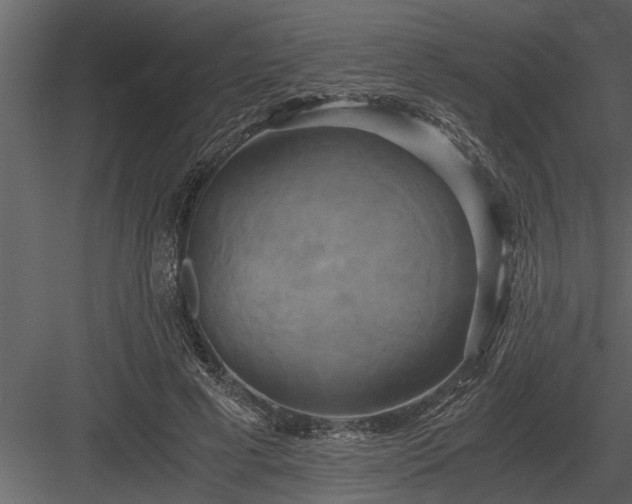 X0000084010593200702232206