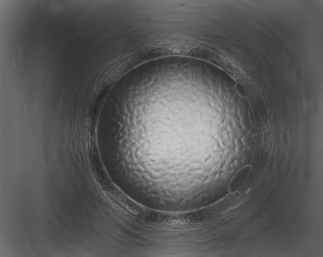 X0000084010594200702232206