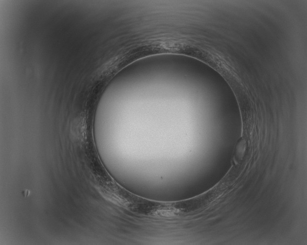 X0000084010595200702232206