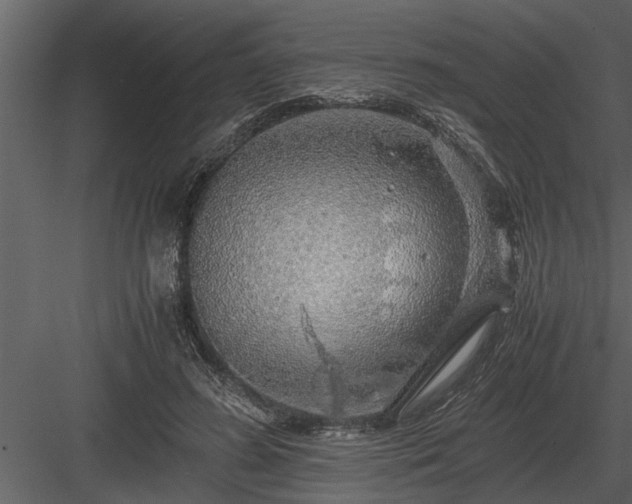 X0000084010596200702232206