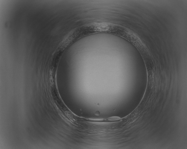 X0000084010598200702232206