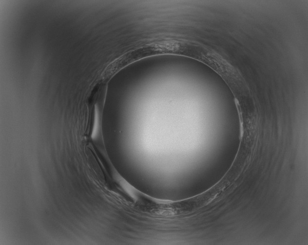 X0000084010600200702232206