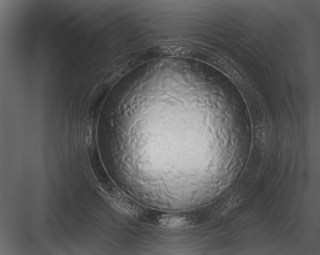 X0000084010602200702232206