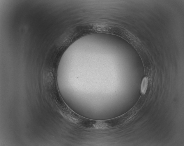 X0000084010603200702232206