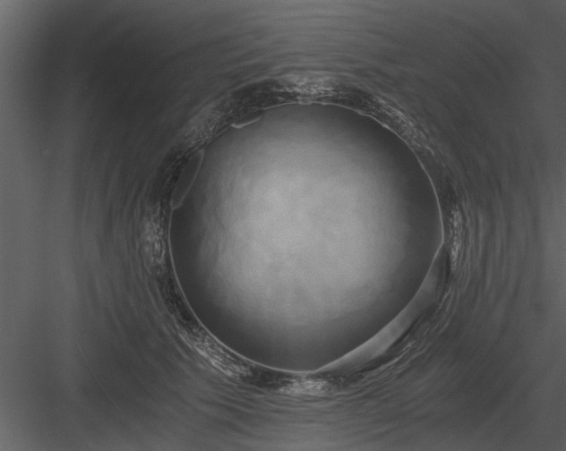 X0000084010609200702232206