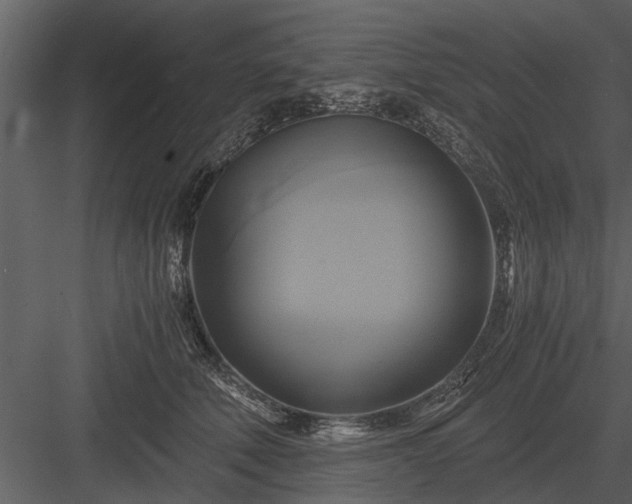 X0000084010610200702232206