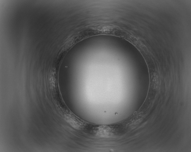 X0000084010612200702232206