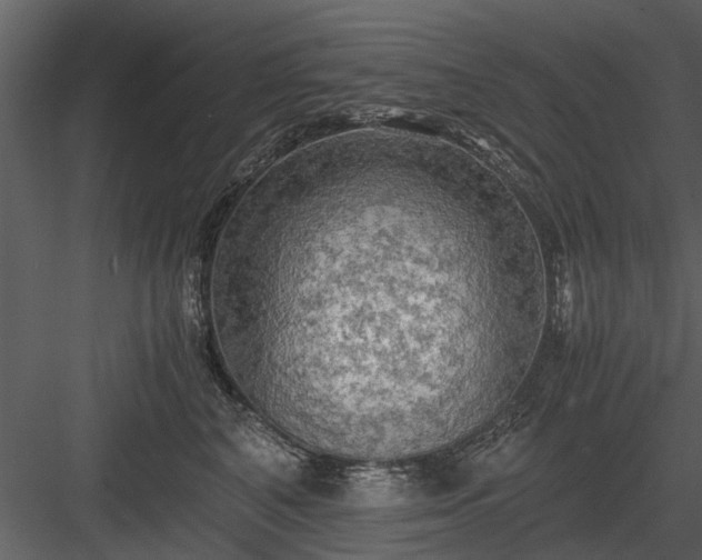 X0000084010616200702232206