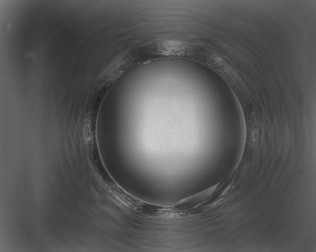 X0000084010620200702232206