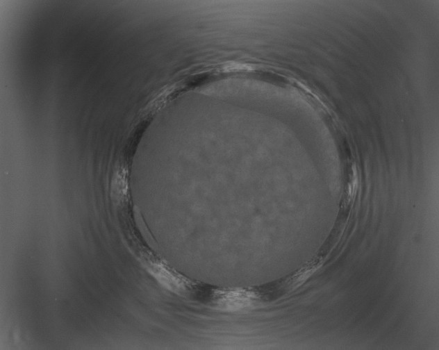 X0000084010621200702232206