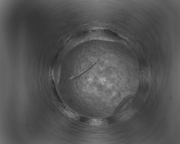 X0000084010623200702232206