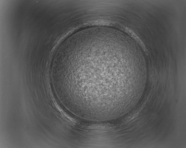 X0000084010625200702232205