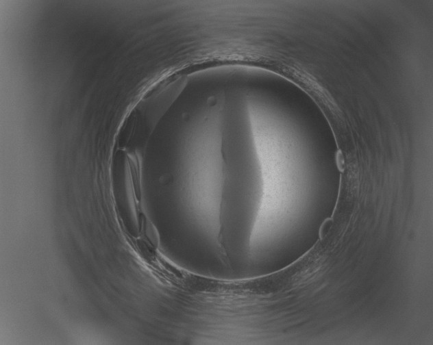 X0000084010626200702232205