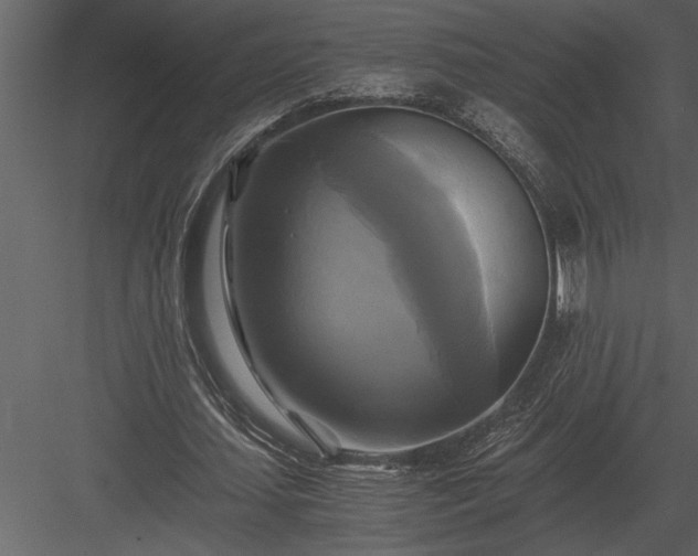 X0000084010627200702232205