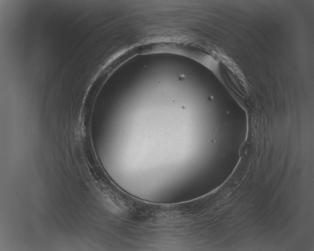 X0000084010628200702232205