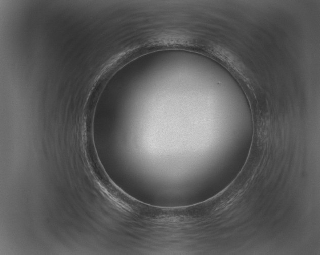 X0000084010629200702232205